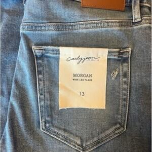 Carly Jean Los Angeles Morgan Wide Leg Flare - size 13